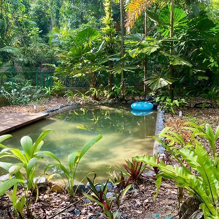 Daintree Siesta Villa Diwan Exterior foto