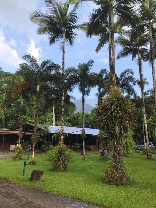 Daintree Siesta Villa Diwan Exterior foto